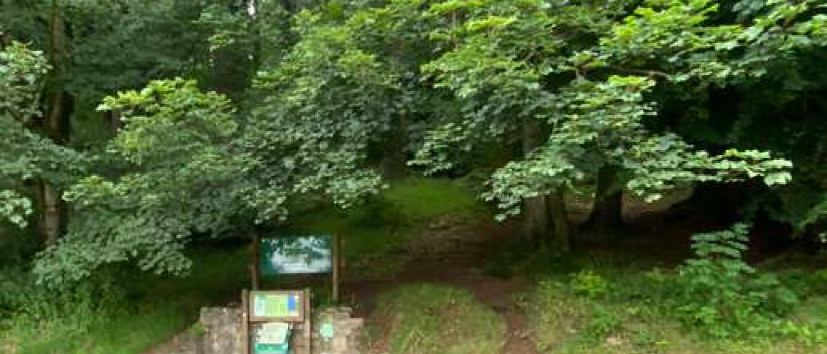 Hoofdfoto Parking Ravendale Forest