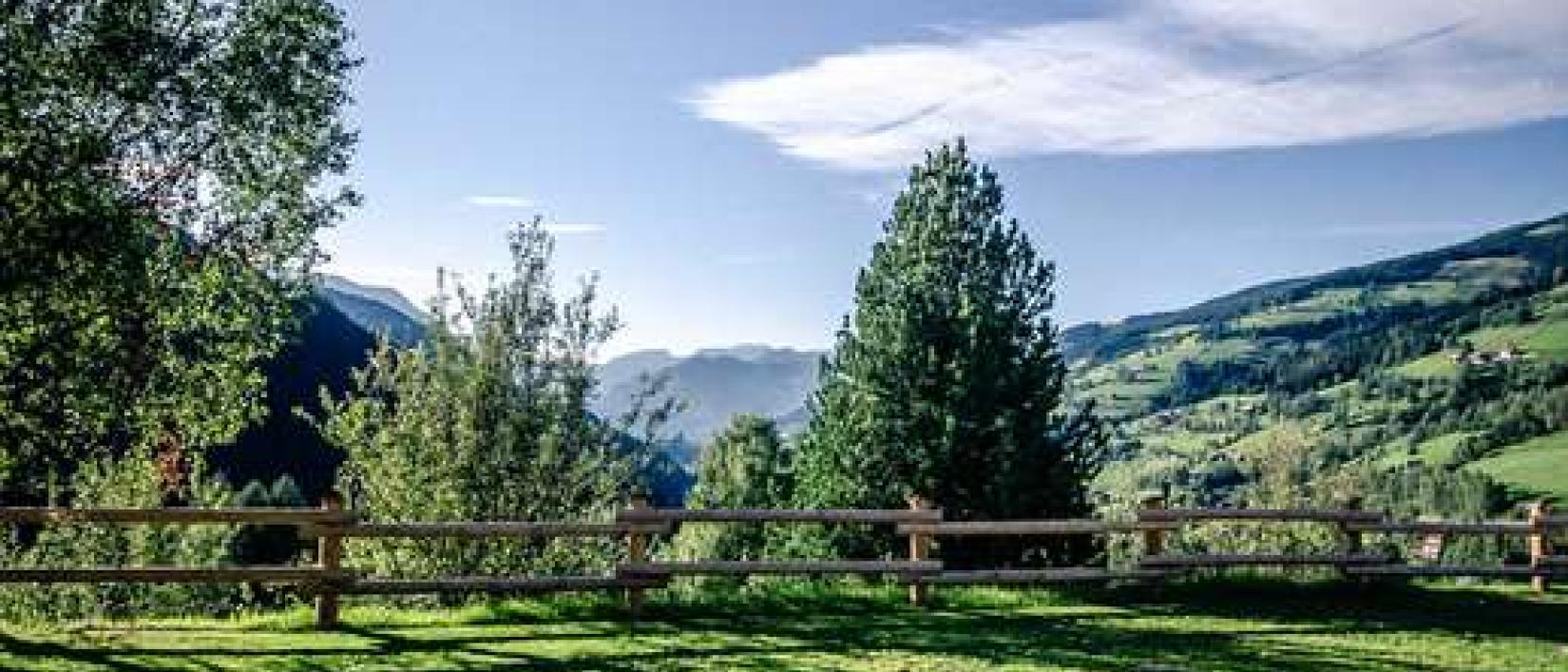 Hoofdfoto Aussichts Camping Ertlschweigerhaus