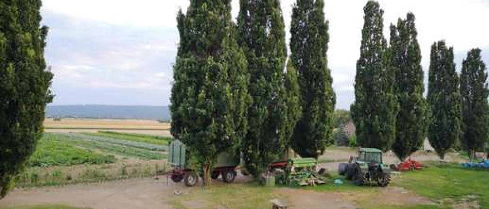Hoofdfoto Bauernhof Giesecke