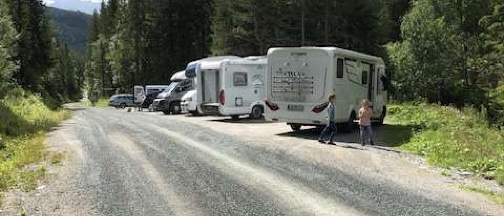 Hoofdfoto Ravnjejuv, telemarkssylv