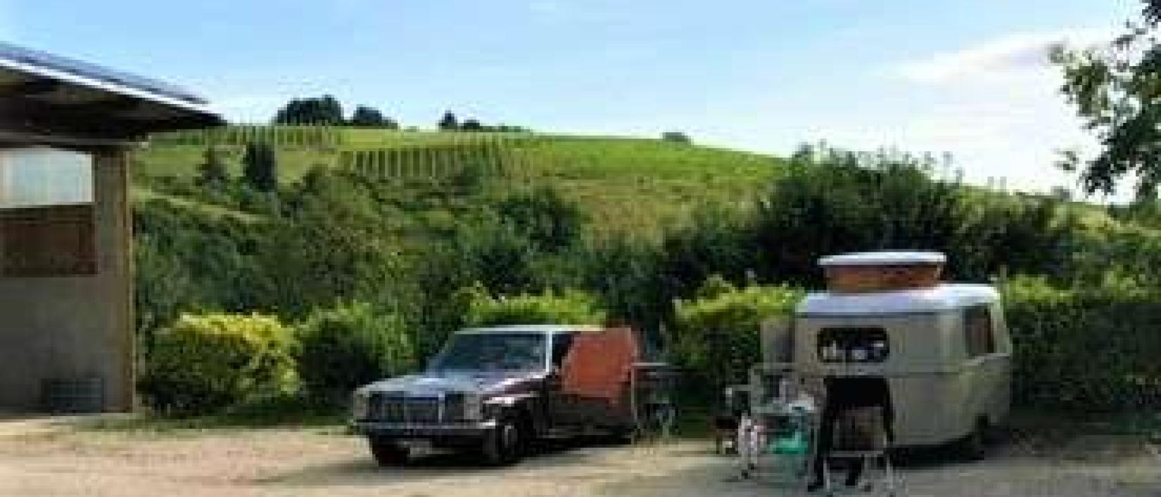 Hoofdfoto Weinbau Seitz