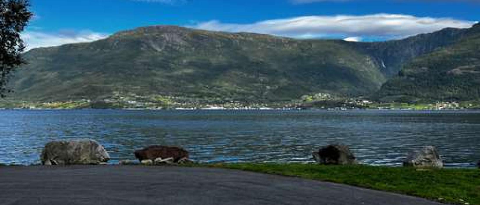 Hoofdfoto Velure Rasteplass