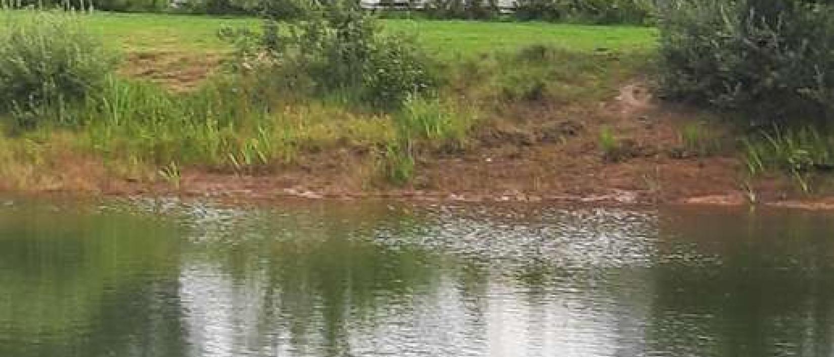 Hoofdfoto Bækhuse fisk og ferie
