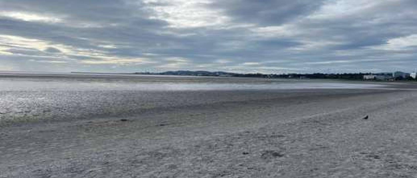 Hoofdfoto Sandymount Strand Car Park 3