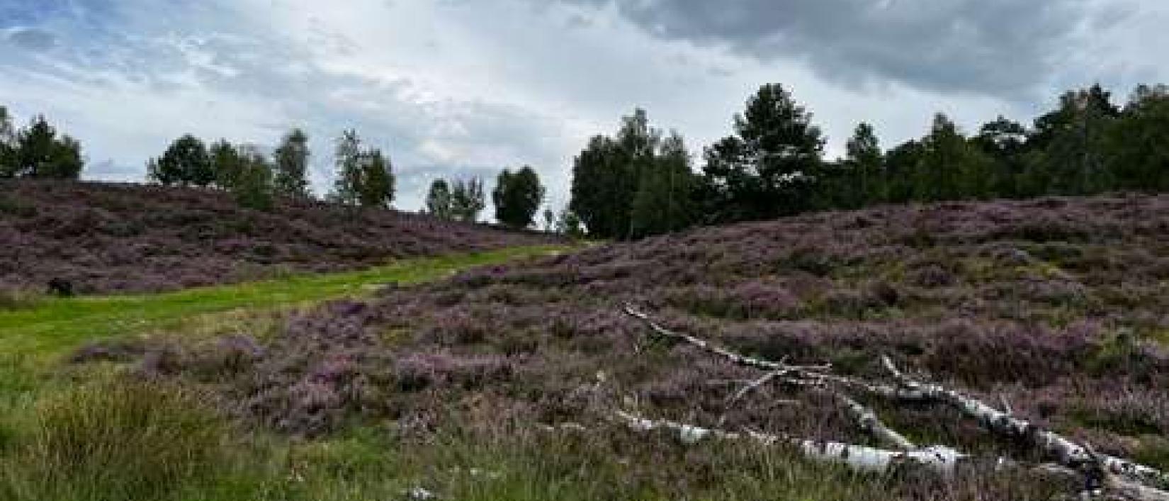 Hoofdfoto Wohnmobilstellplatz am Waldbad
