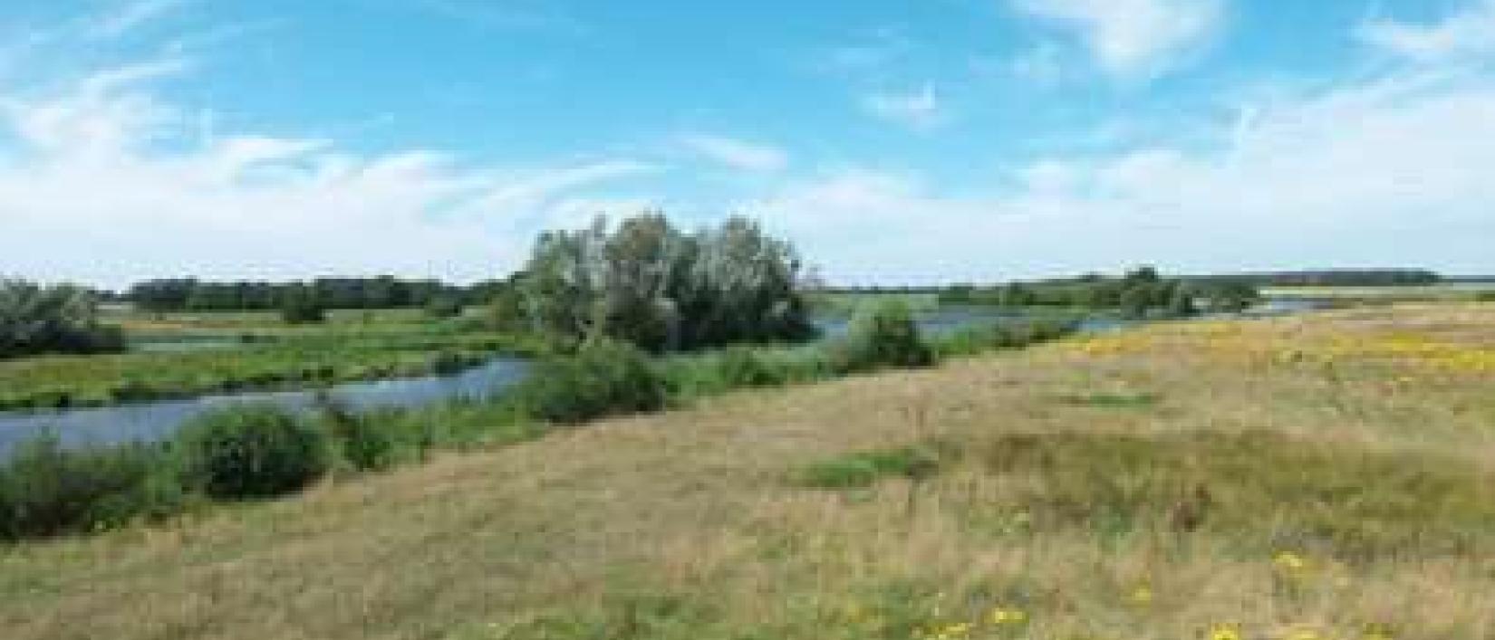 Hoofdfoto Camperplaatsen aan de Vecht
