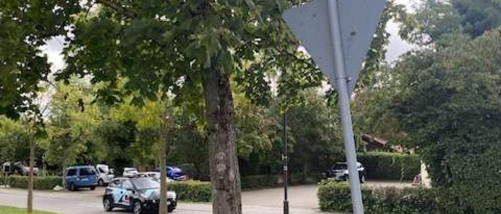 Hoofdfoto Maier’s Burgwirtschaft