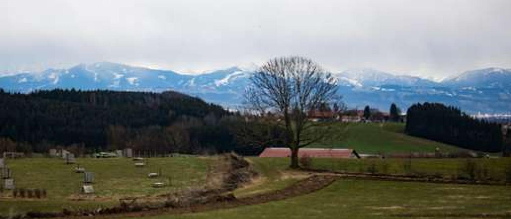 Hoofdfoto MyCabin - Naturidyll mit Bergblick