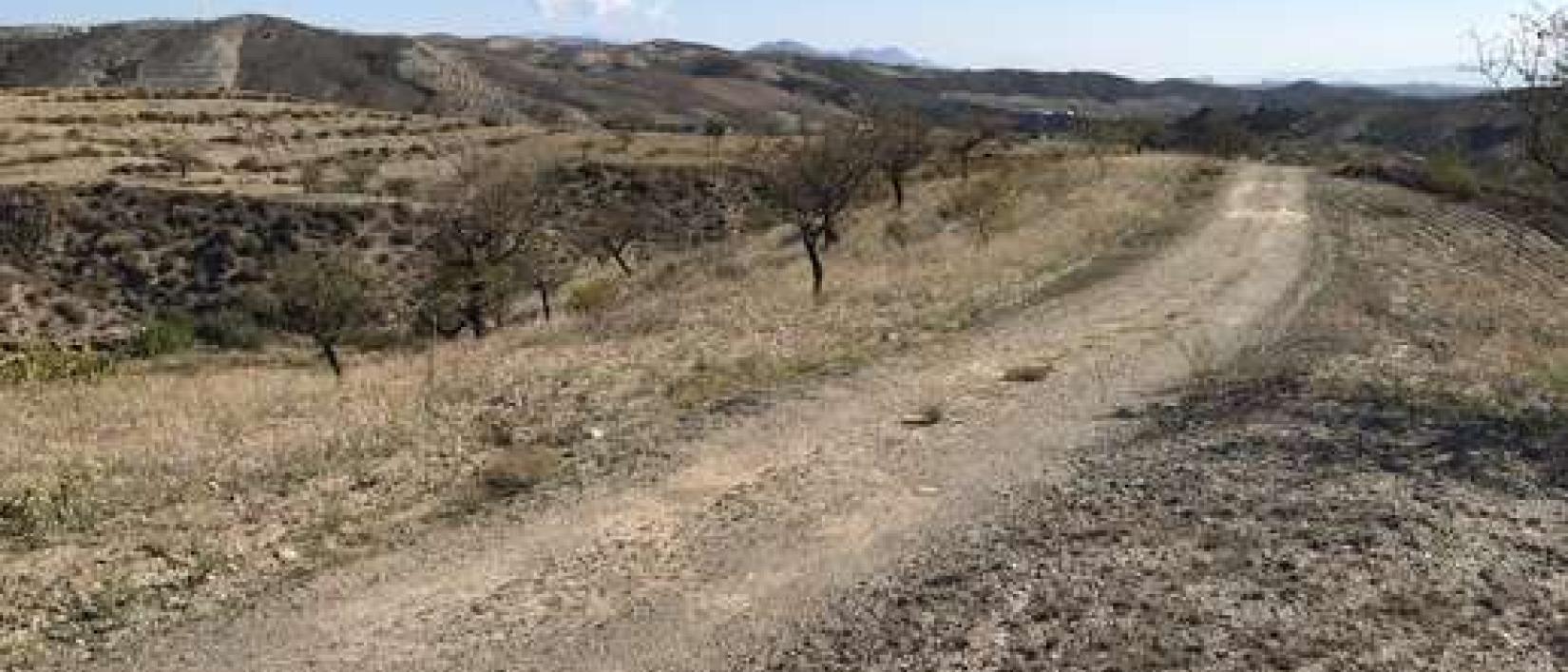 Hoofdfoto Frontera Camping