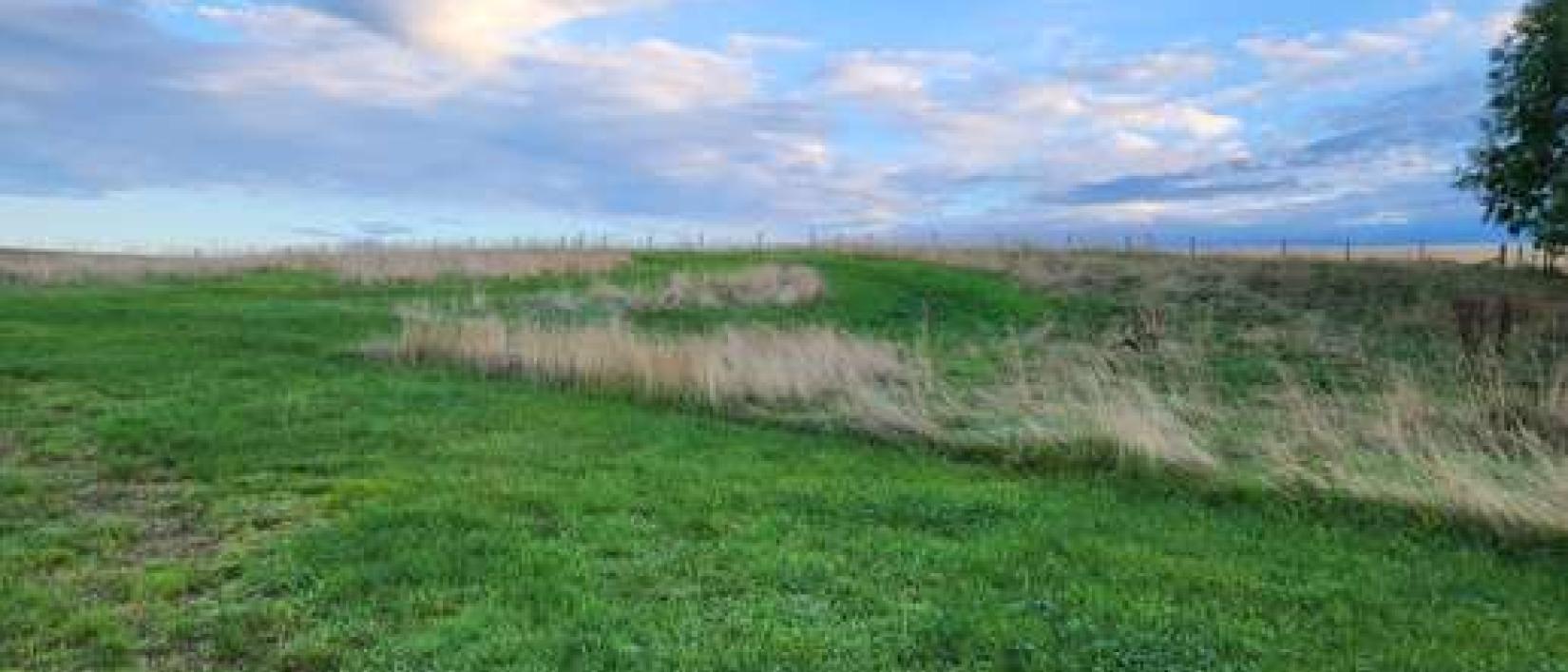 Hoofdfoto Grampian campervan campsite