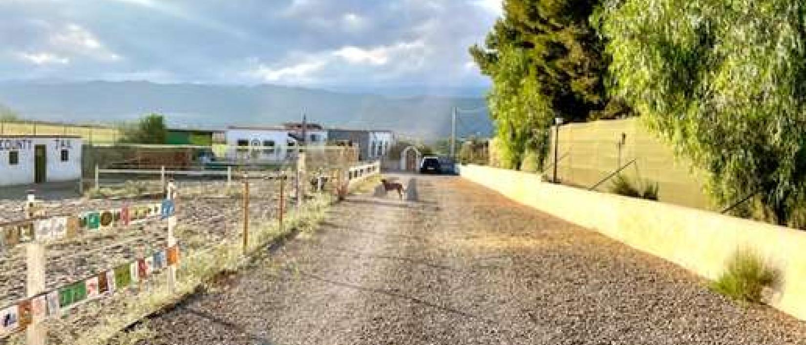 Hoofdfoto Rancho Barbaluz