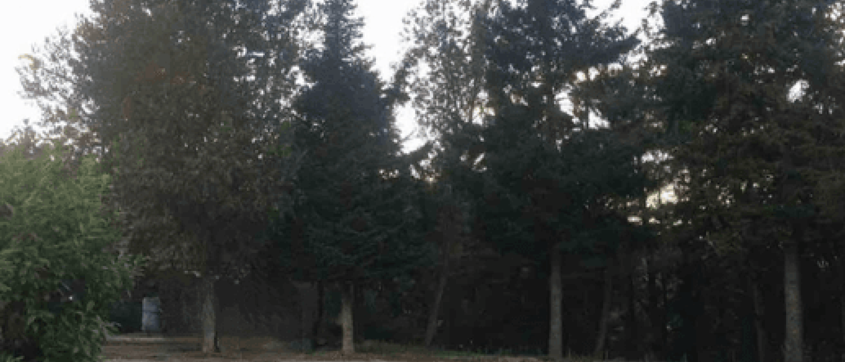 Hoofdfoto Area camper Frigento