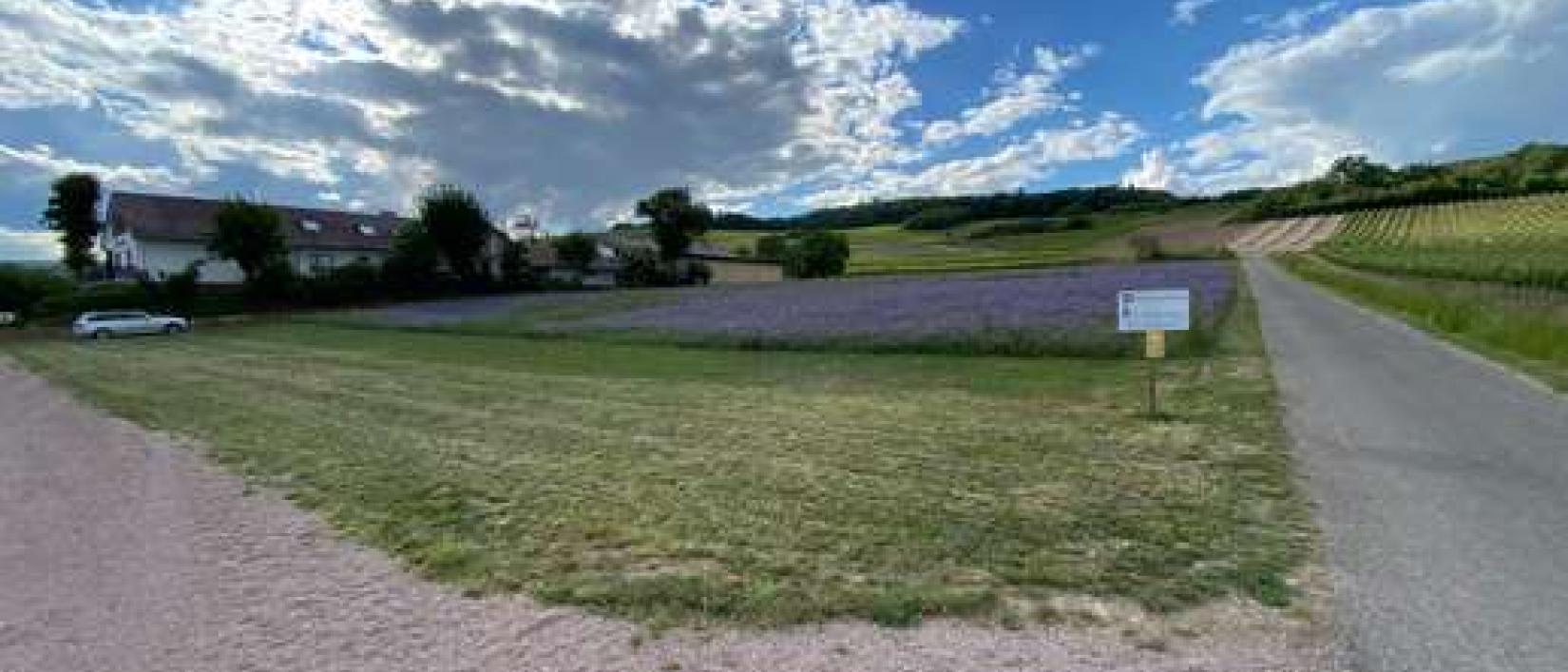 Hoofdfoto Weingut Rheingrafenhof
