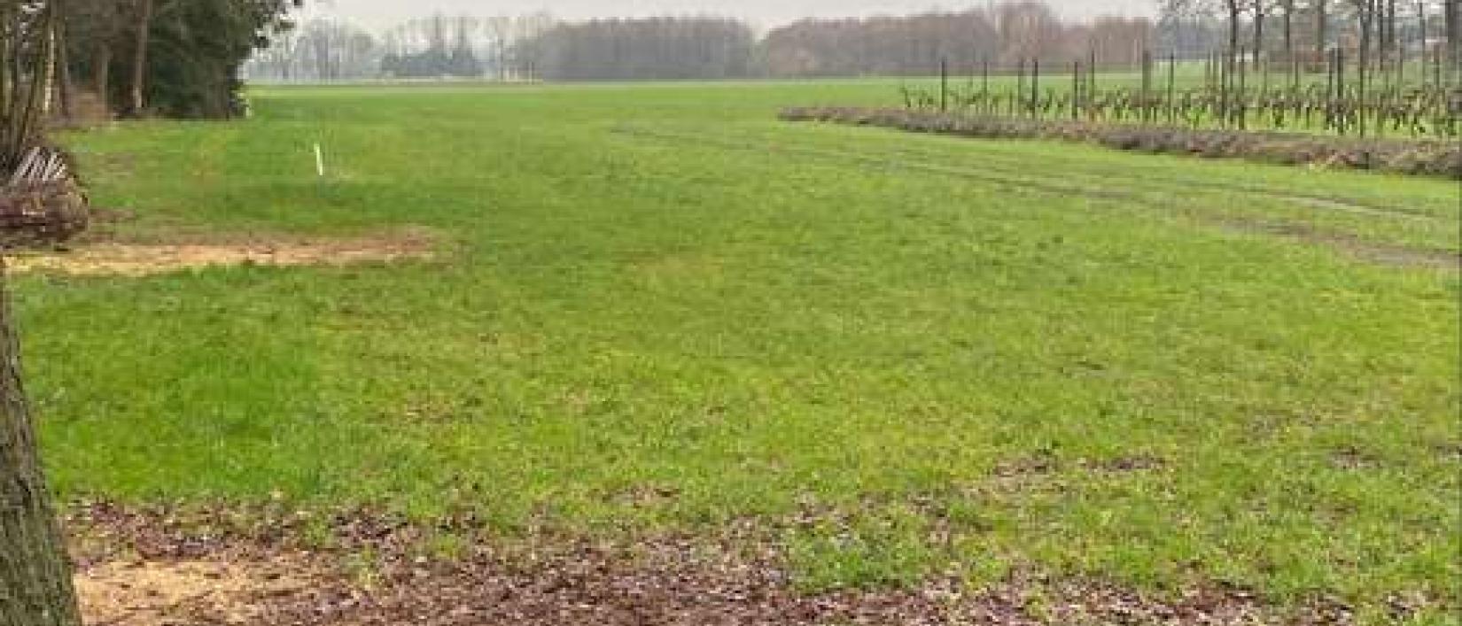 Hoofdfoto De Santspuy Wijn en Aspergeboerderij
