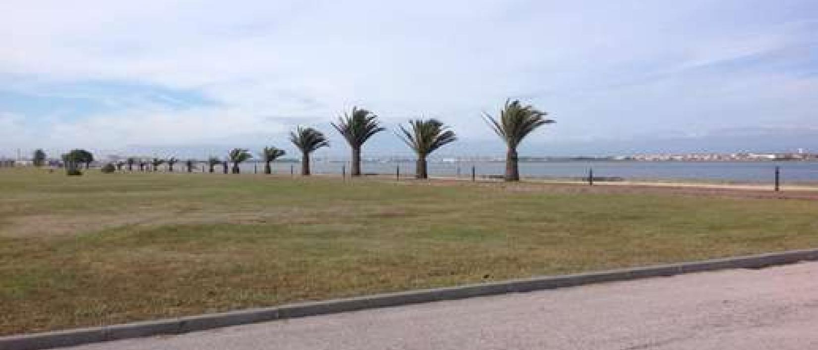 Hoofdfoto Praia da Costa Nova (Ílhavo)-Novo Local