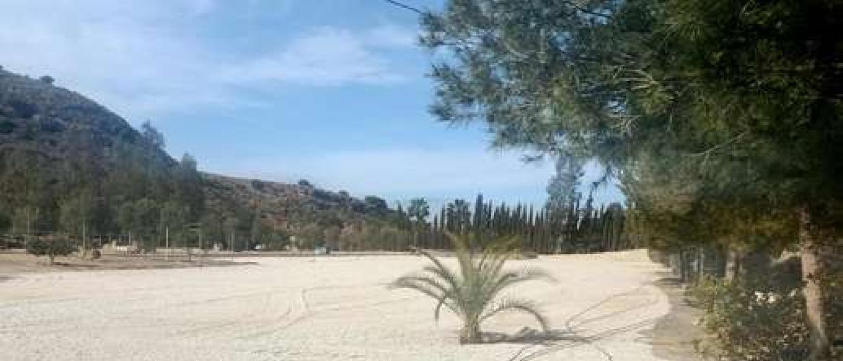 Hoofdfoto Rancho Purias