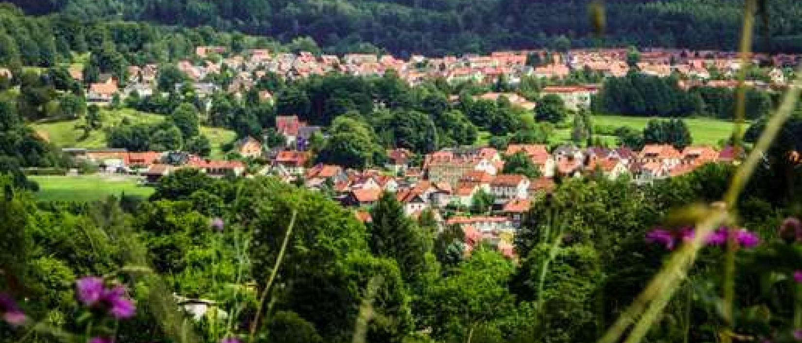Hoofdfoto Am Einsiedel