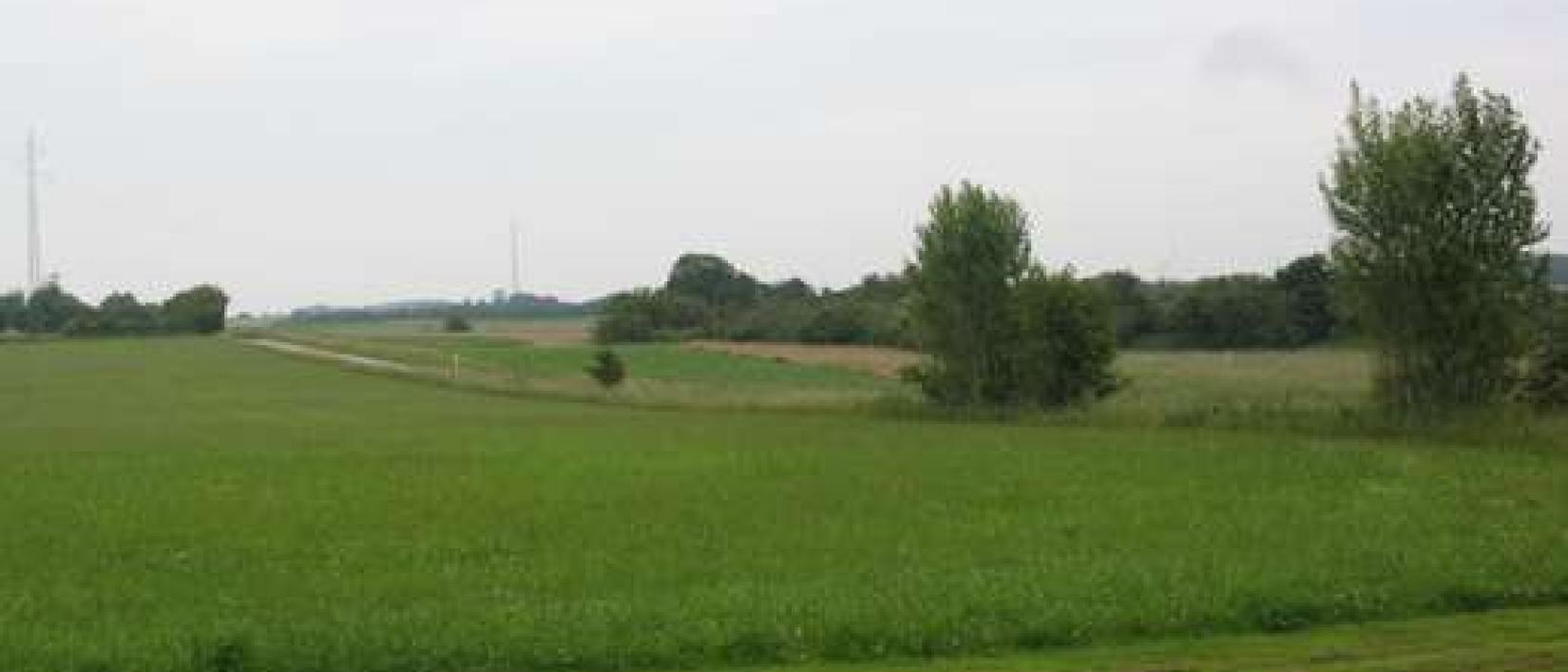 Hoofdfoto Else C. Weber