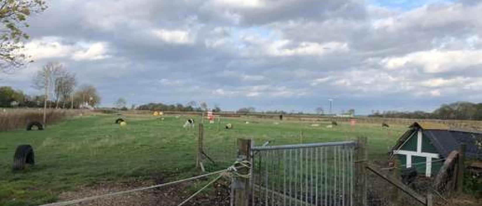 Hoofdfoto Hof Iggewarden