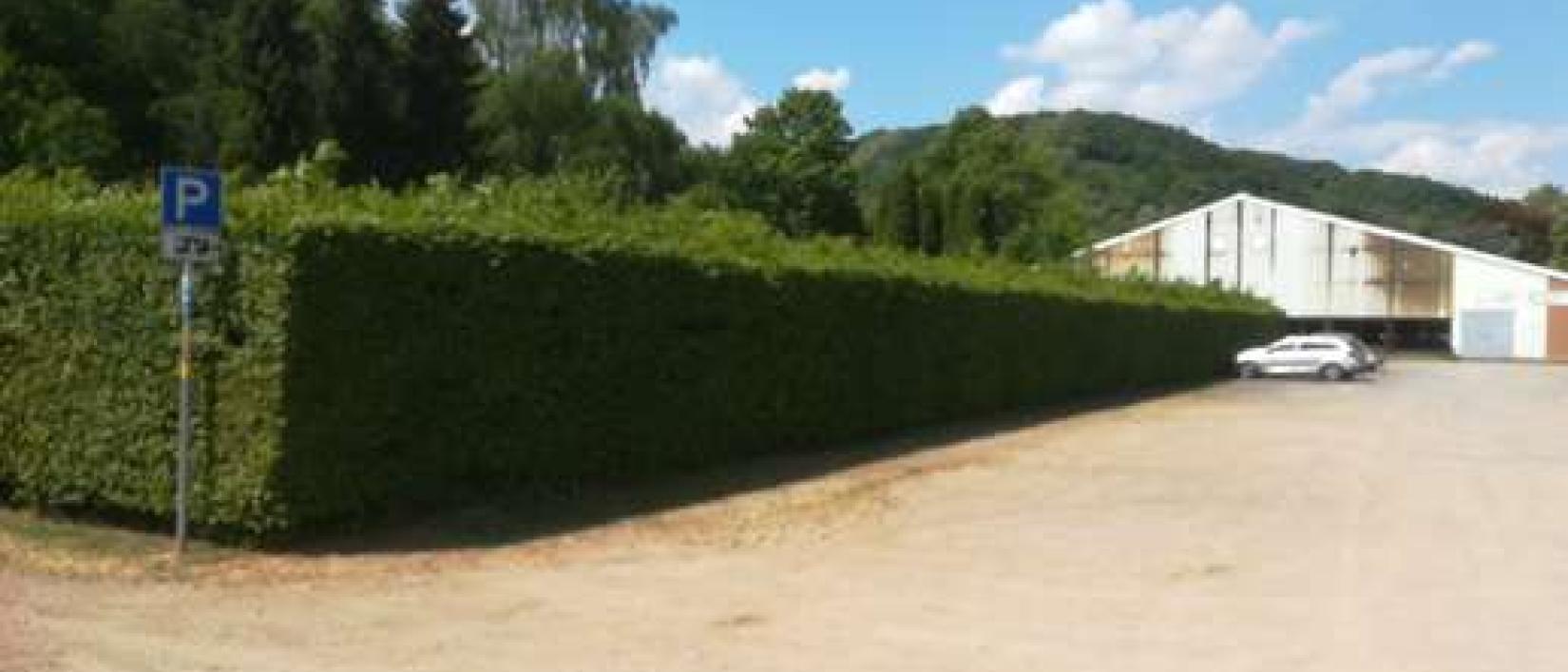 Hoofdfoto Parking