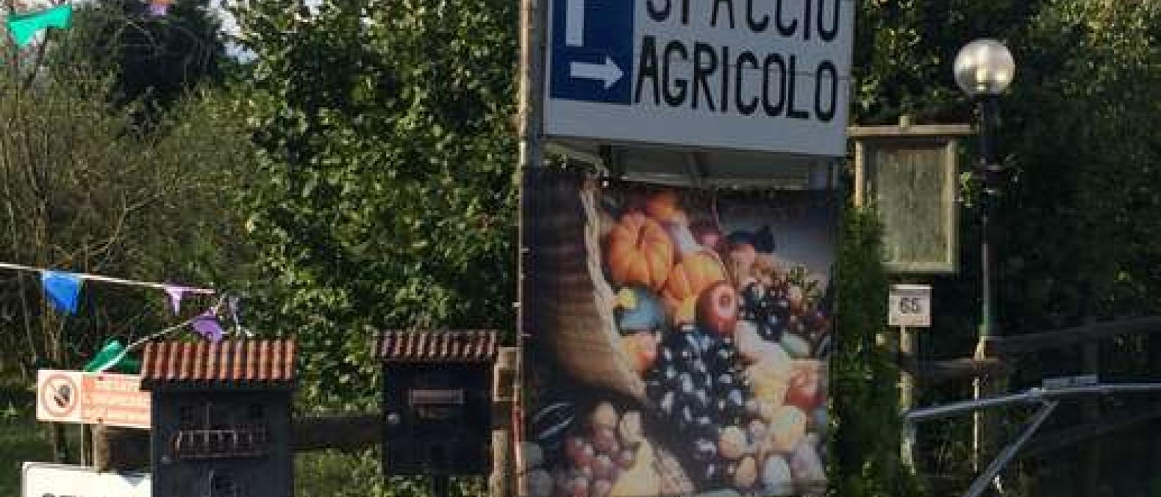 Hoofdfoto Azienda Agricola Ora Verde