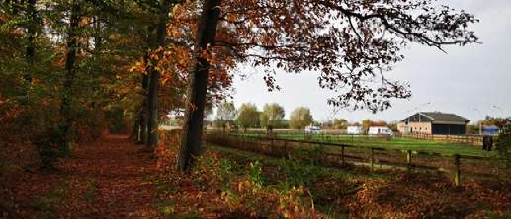 Hoofdfoto Recreatieoord Hippique
