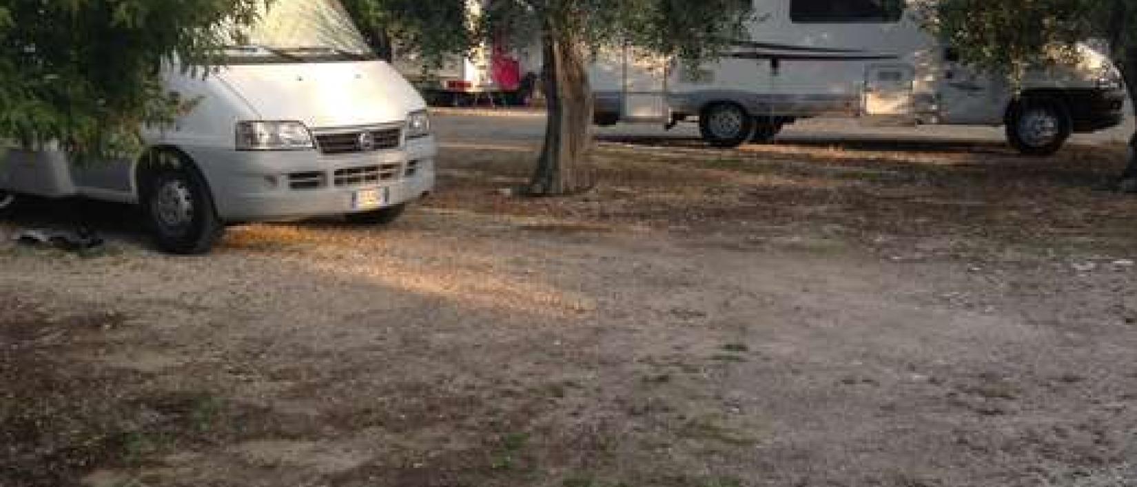 Hoofdfoto Agricampeggio Brezza tra gli Ulivi