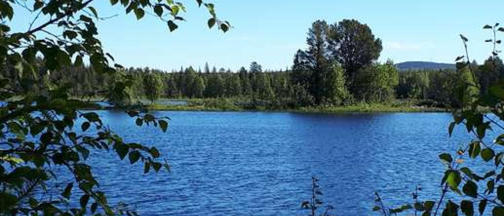 Hoofdfoto Juktådalen