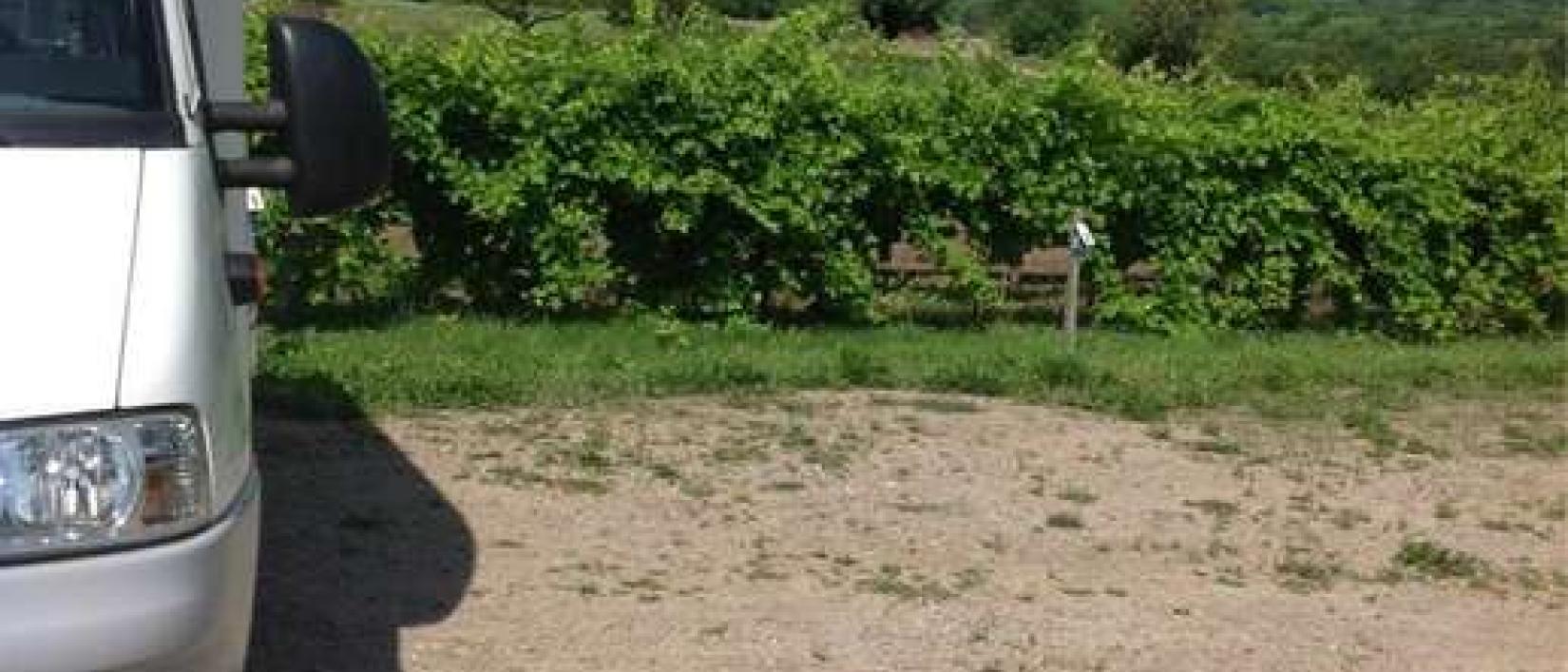 Hoofdfoto Weingut Arndt Kobelin