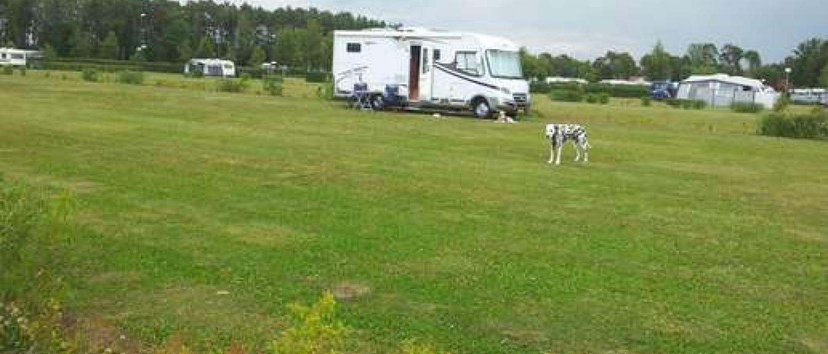 Hoofdfoto Båstad Camping