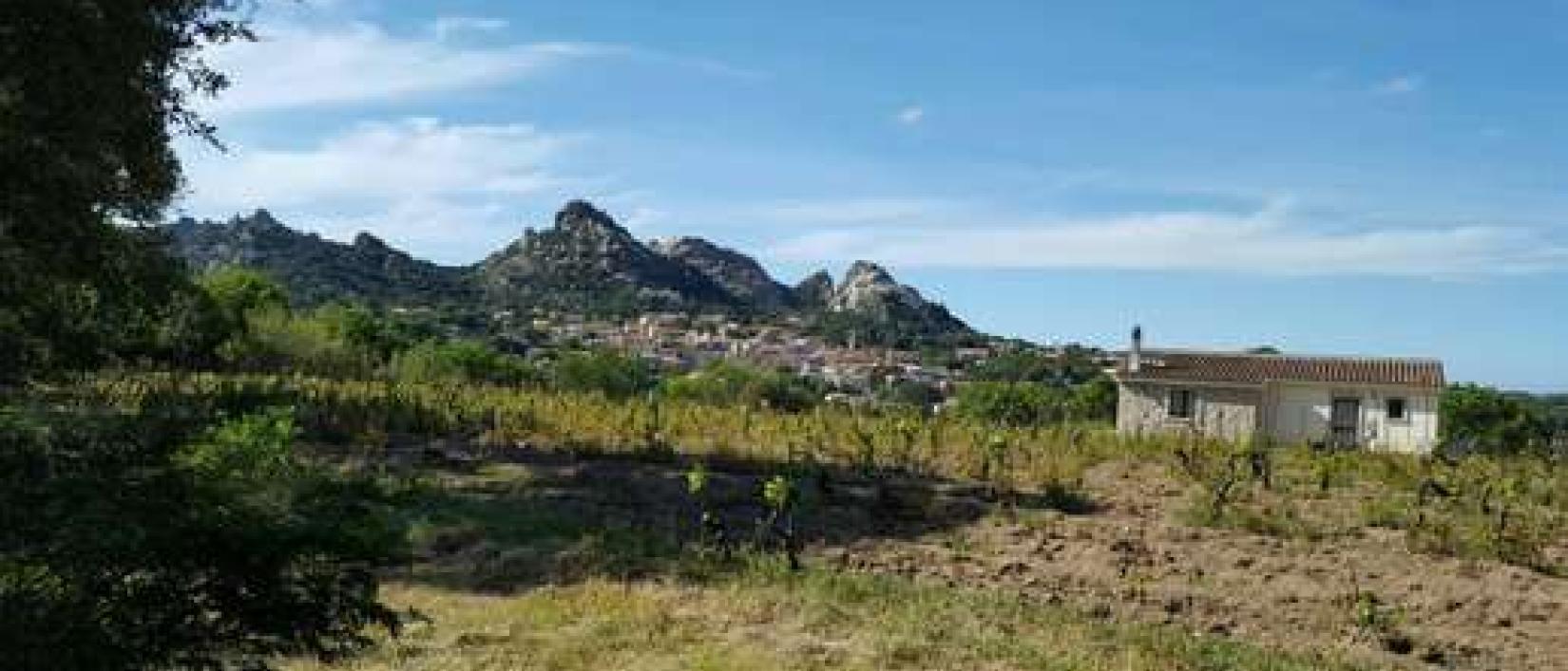Hoofdfoto Agriturismo Il Muto di Gallura