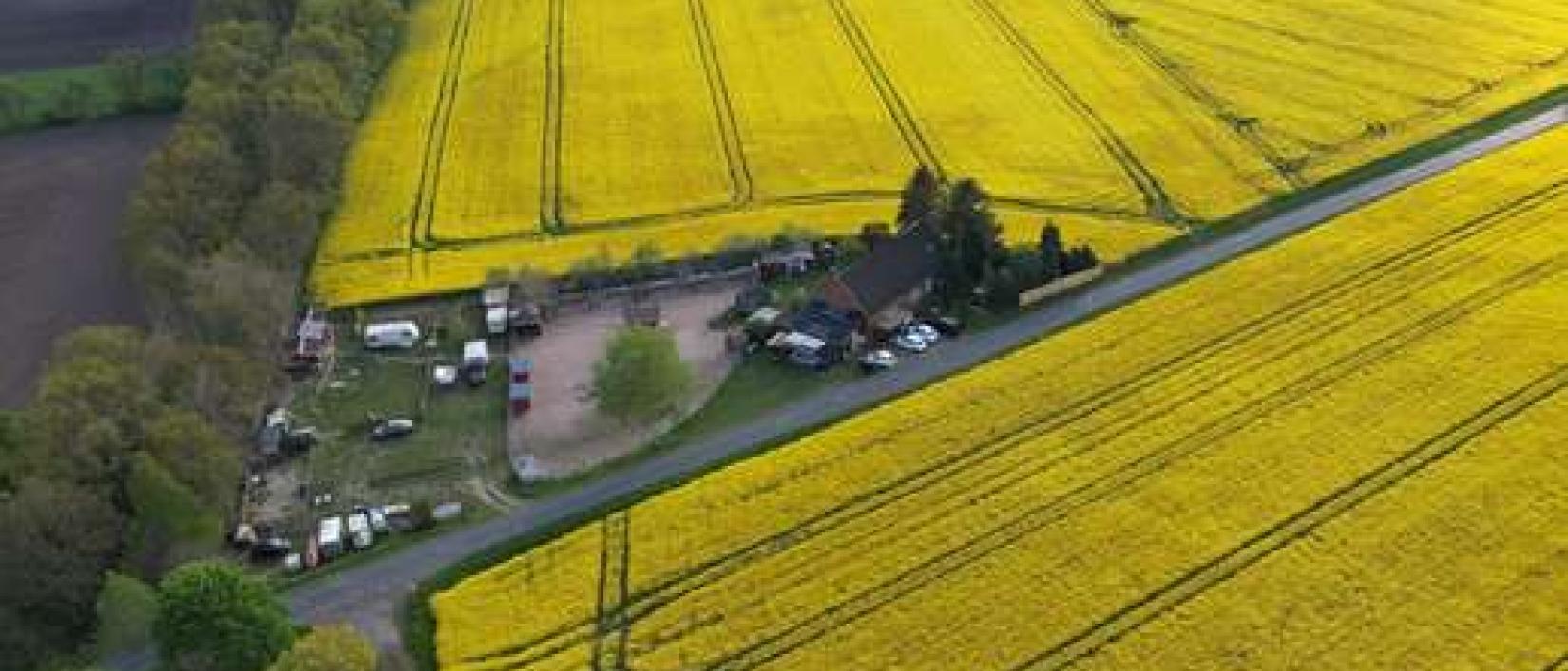 Hoofdfoto Huskyfarm