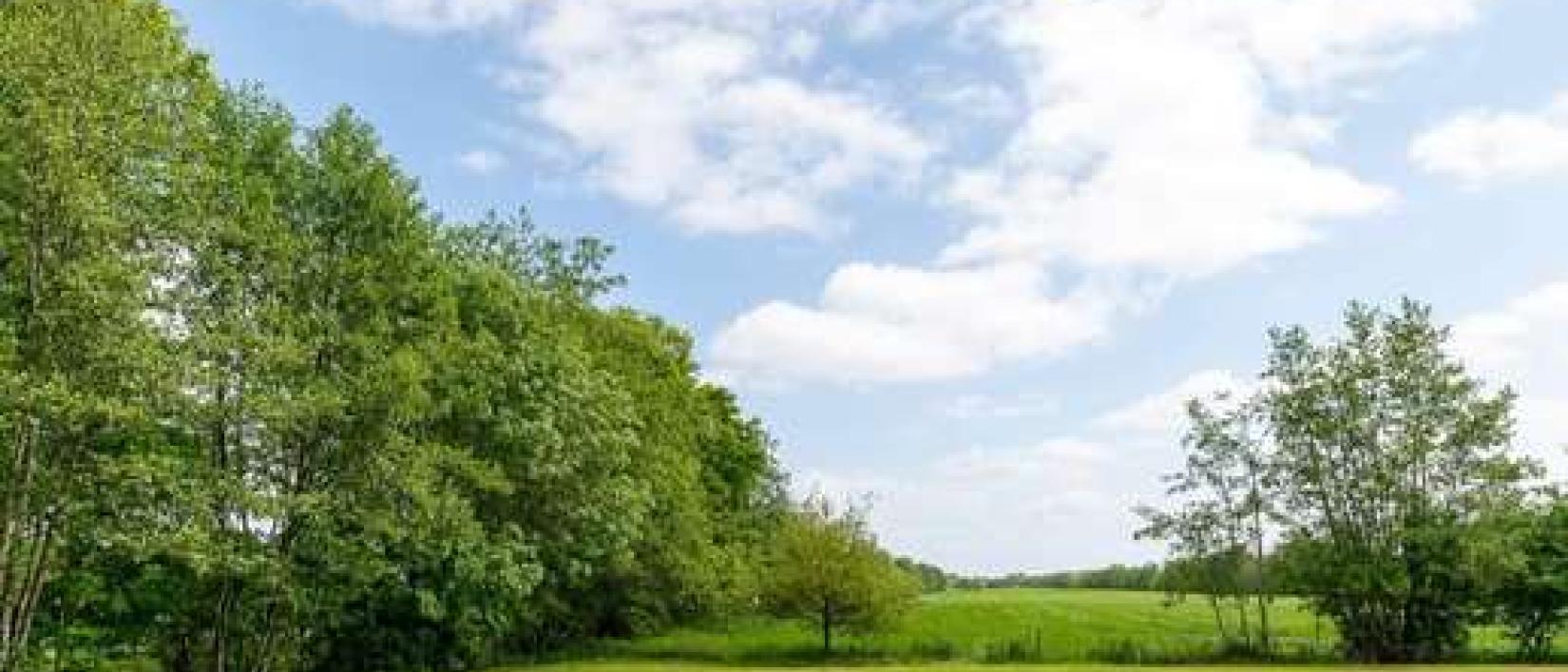 Hoofdfoto Camperplaats It Wâldhoekje