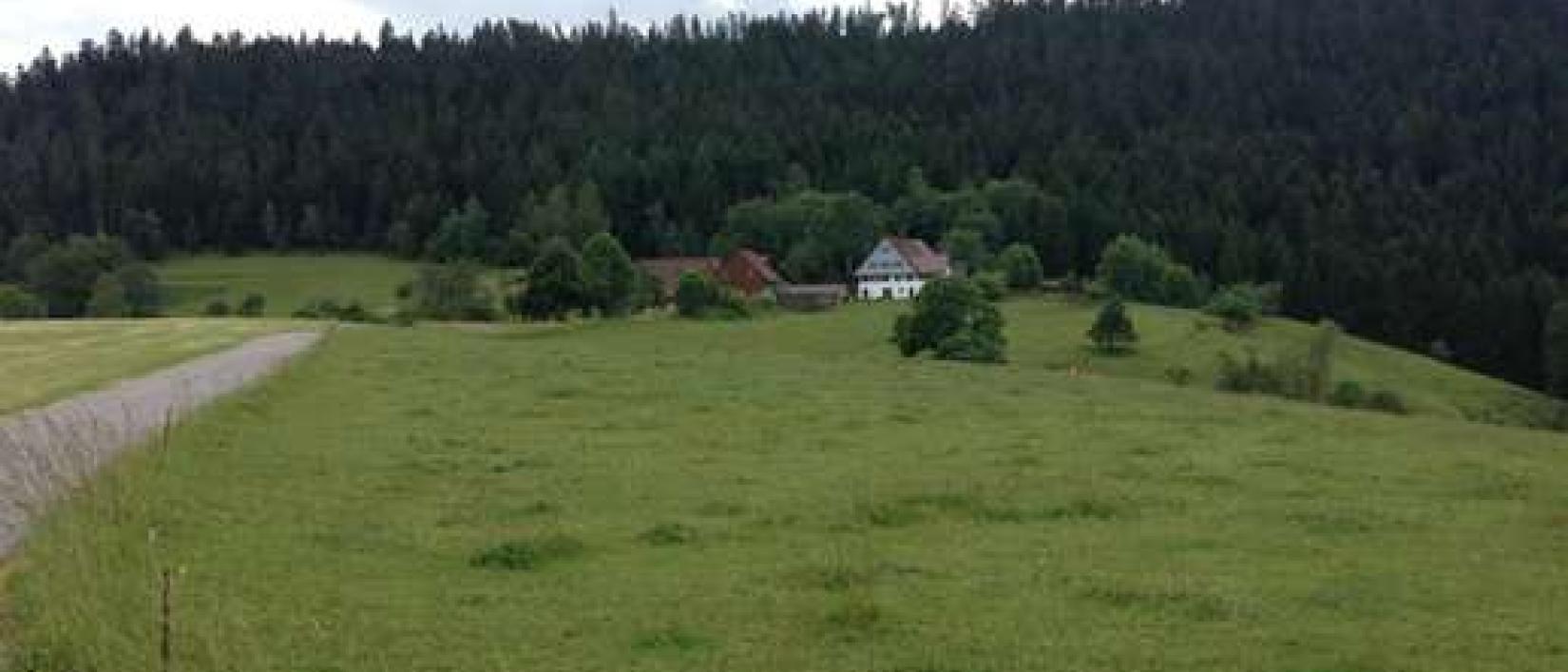 Hoofdfoto Hinterholzstube