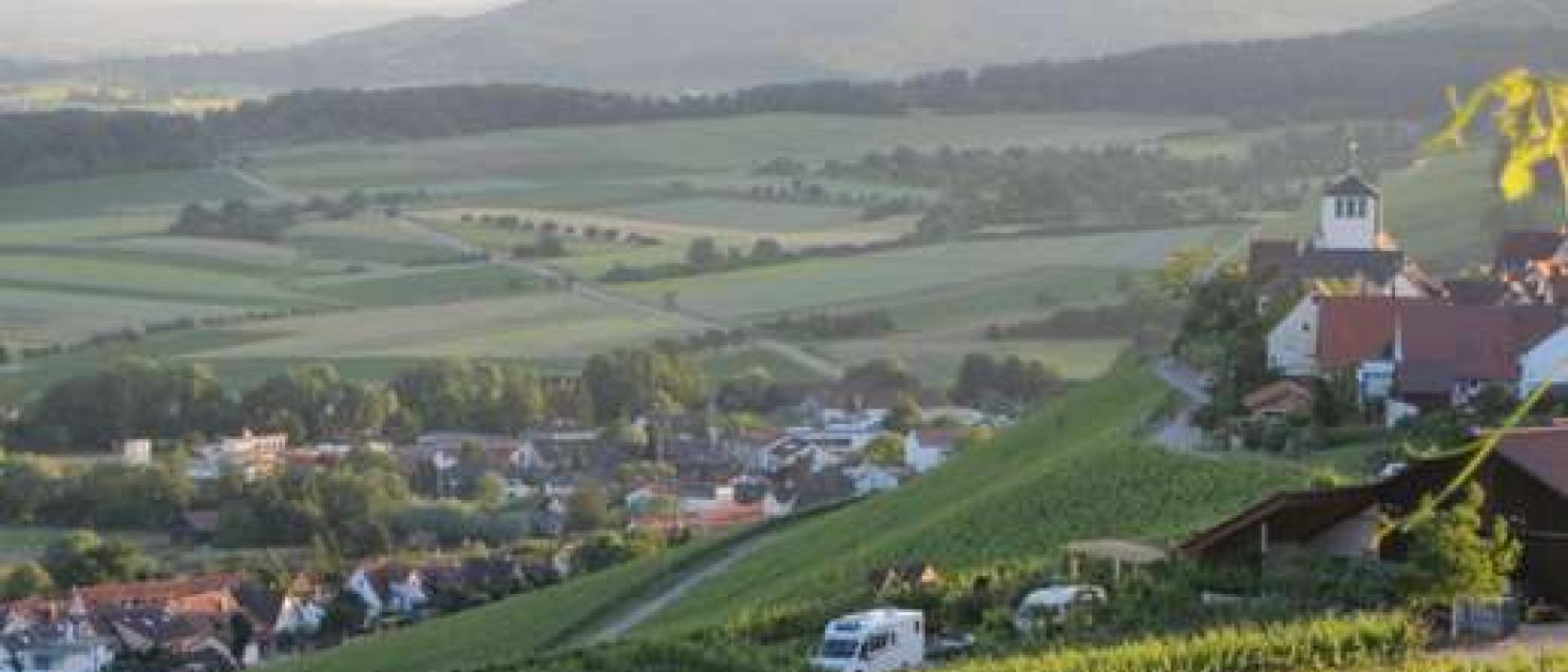 Hoofdfoto Panoramaweingut Baumgärtner