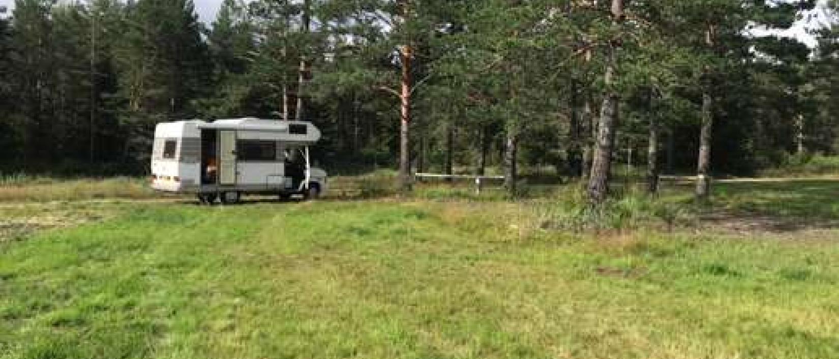 Hoofdfoto Pan Garden