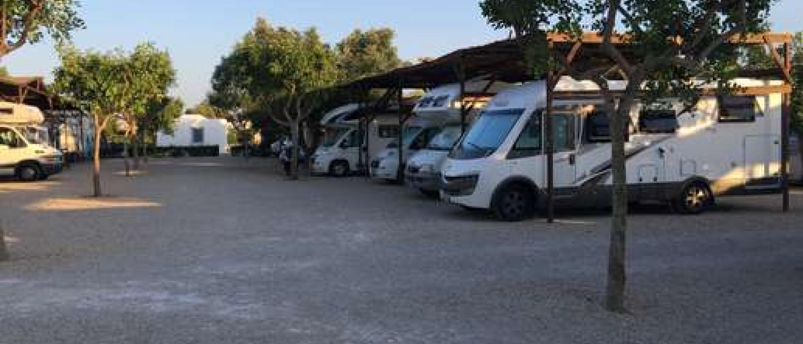Hoofdfoto Agricampeggio Le Radici