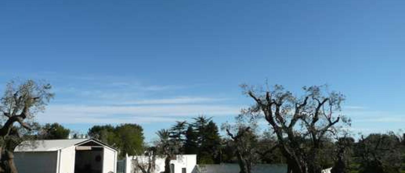 Hoofdfoto Agriturismo La Masseria Il Frantoio