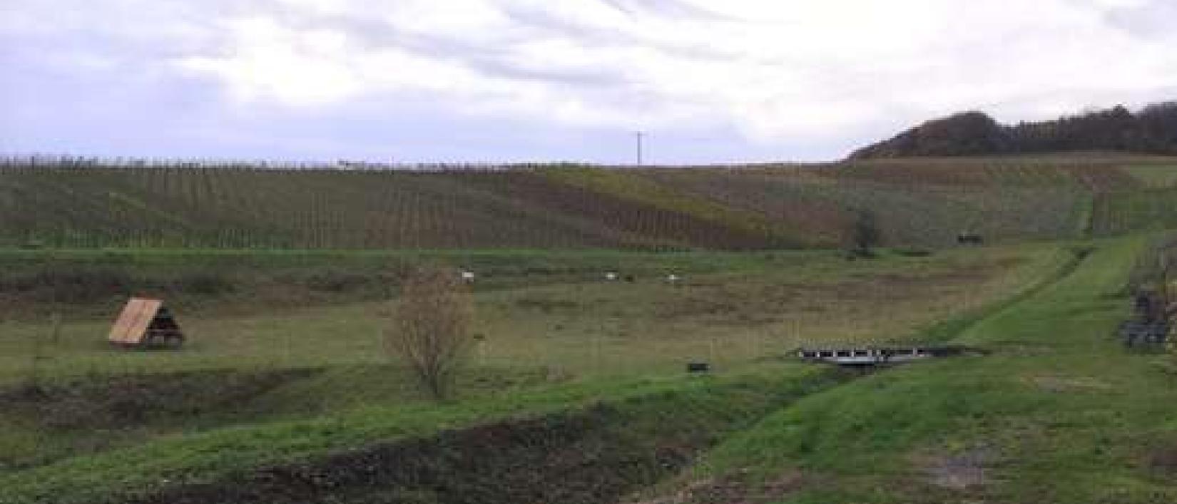 Hoofdfoto Weingut Sommer