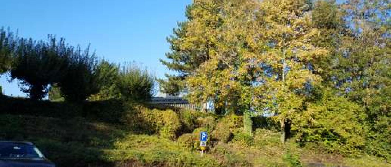 Hoofdfoto Wohnmobilstellplatz Helmstadt