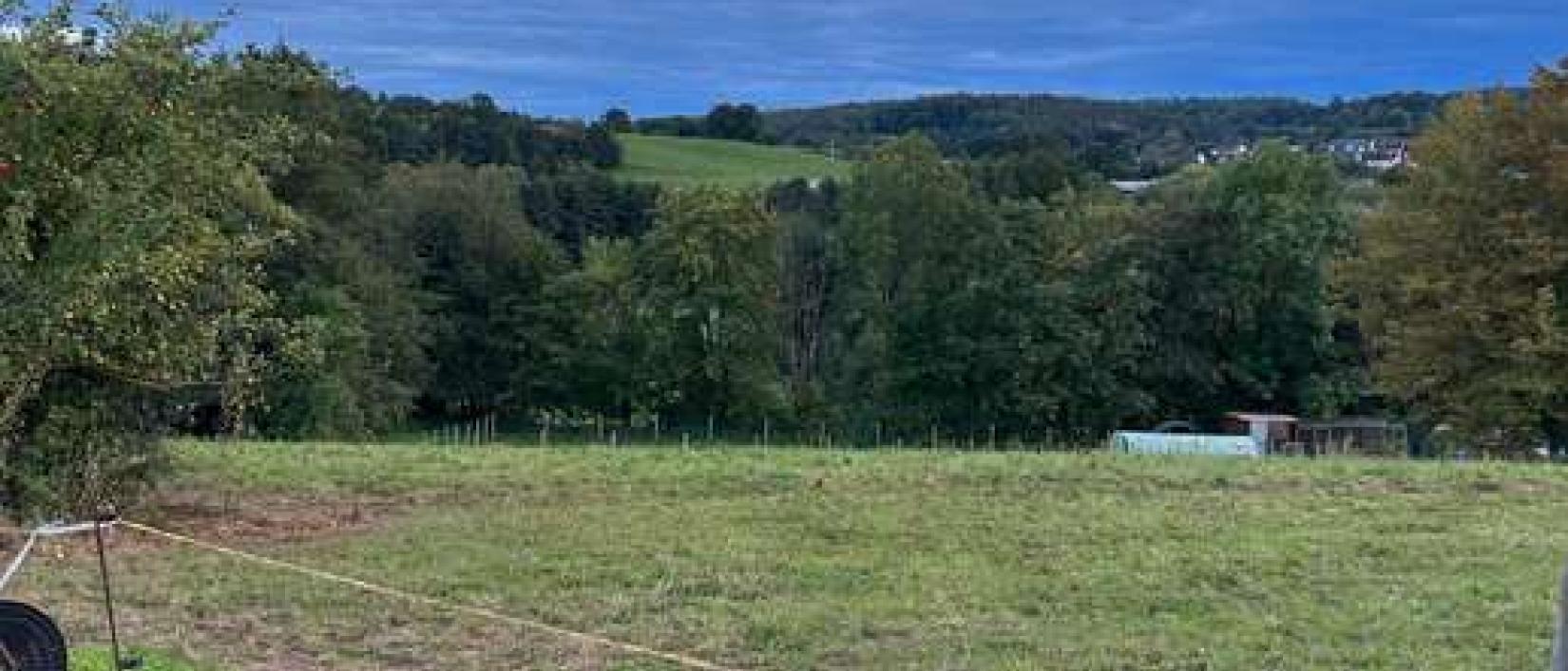 Hoofdfoto Landgasthof Hauhof