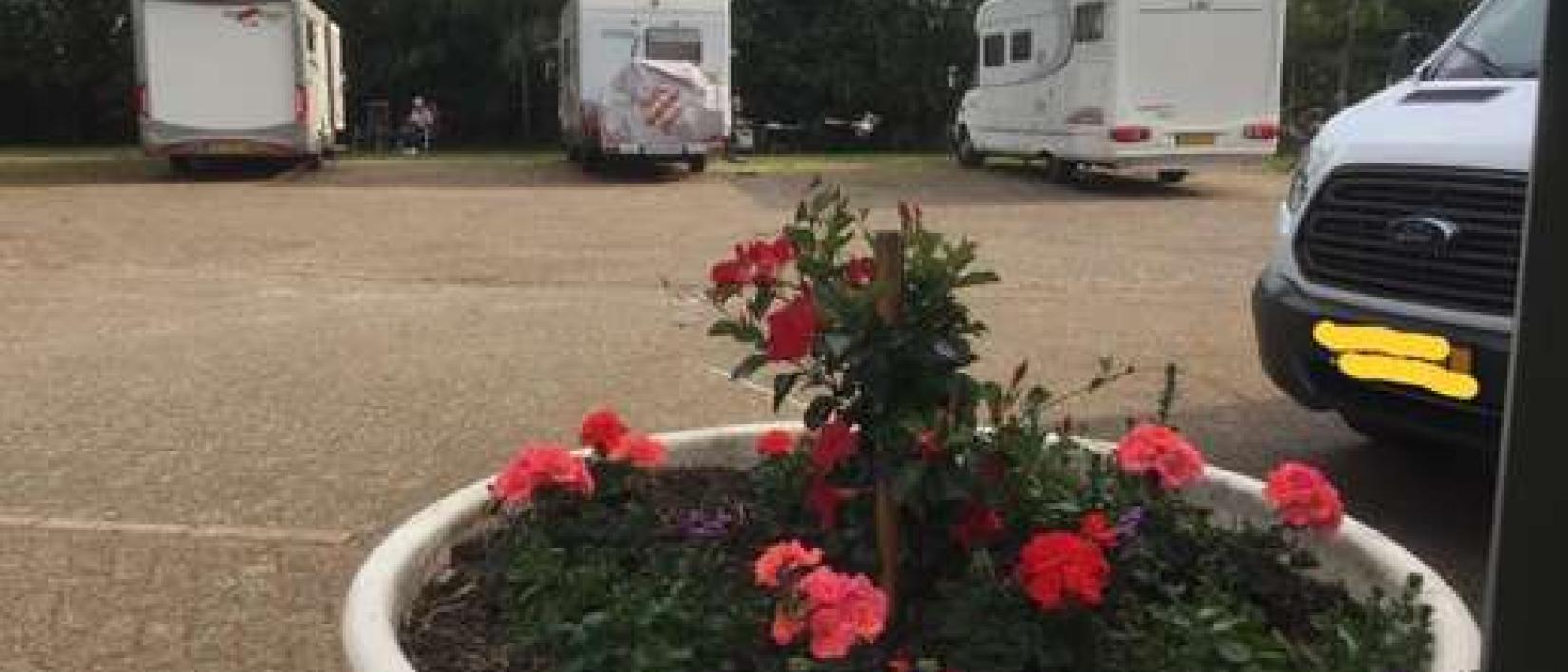 Hoofdfoto Camperplaats Eulerhook