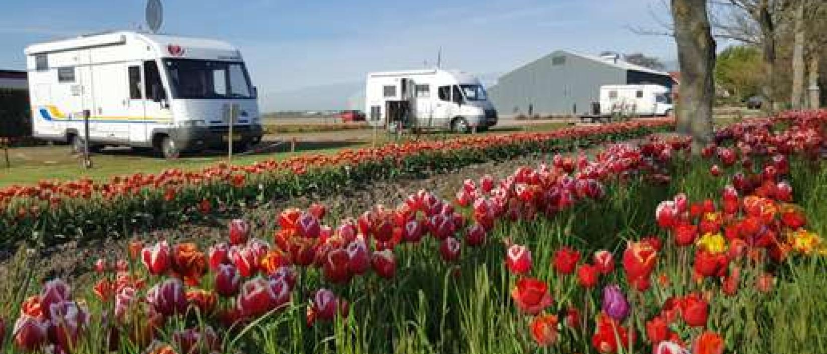 Hoofdfoto Camperplaats De Tulpentuin
