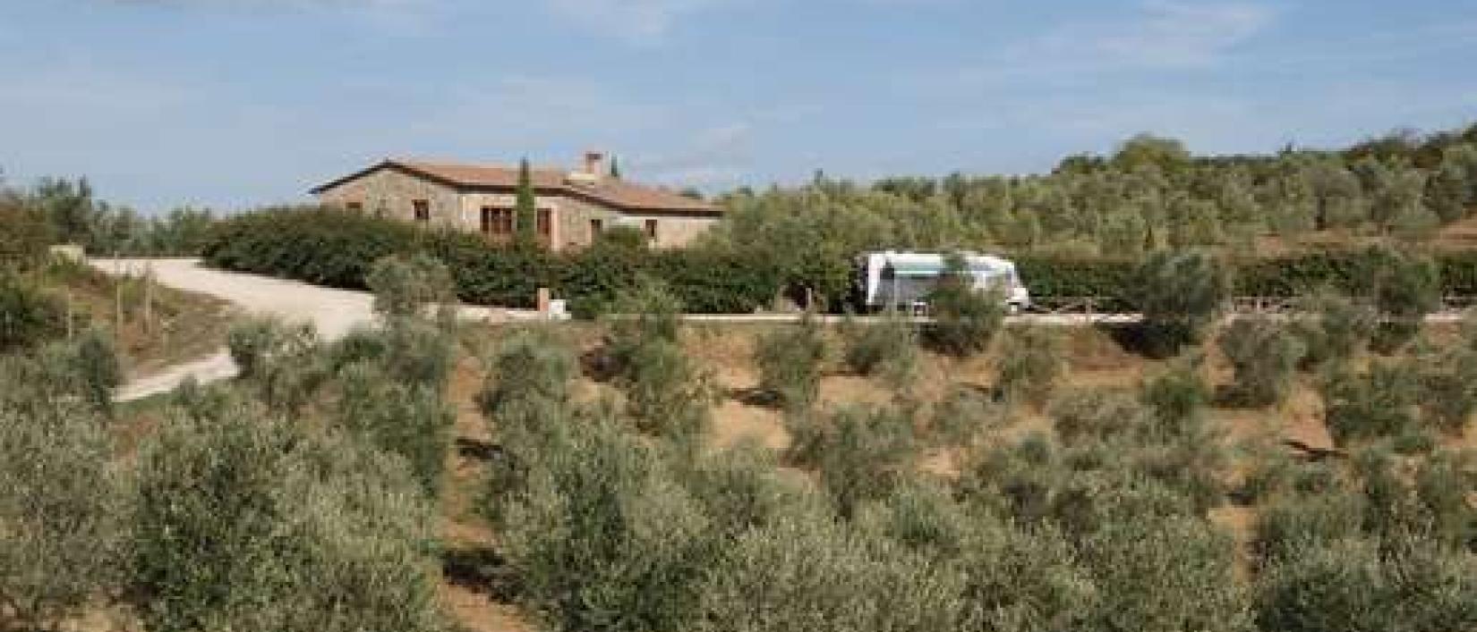 Hoofdfoto Agricampeggio Gli Olmi
