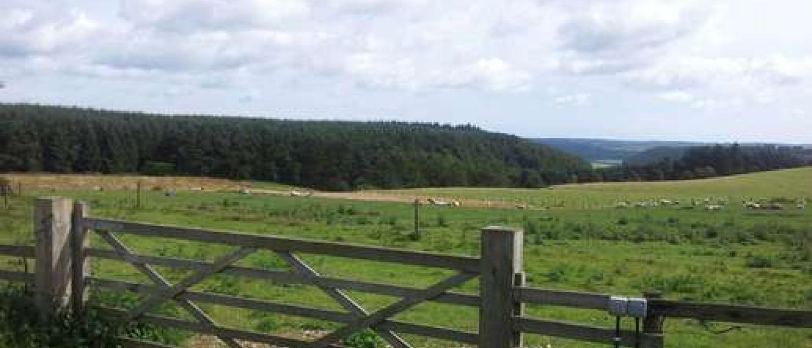 Hoofdfoto South Moor Farm