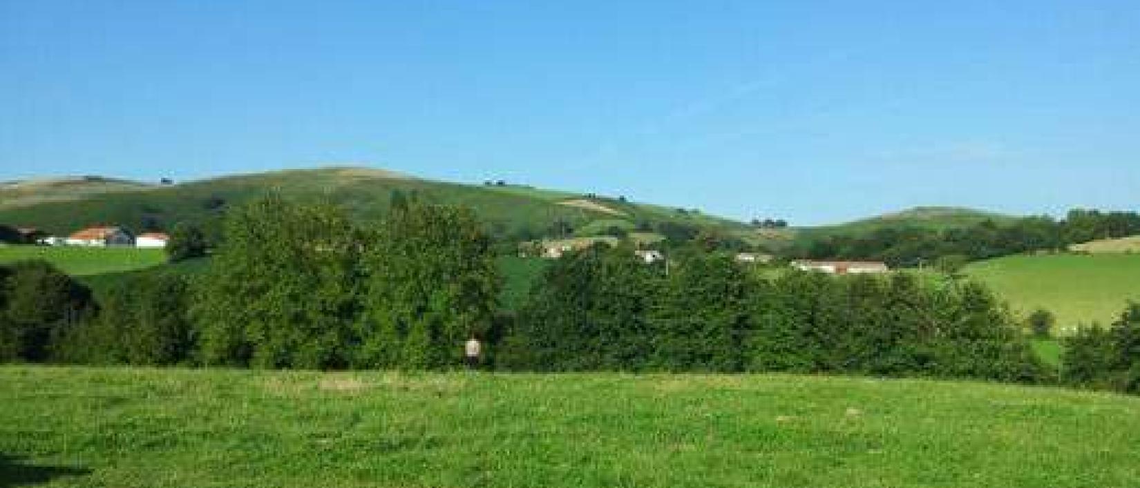 Hoofdfoto Ferme Agerria
