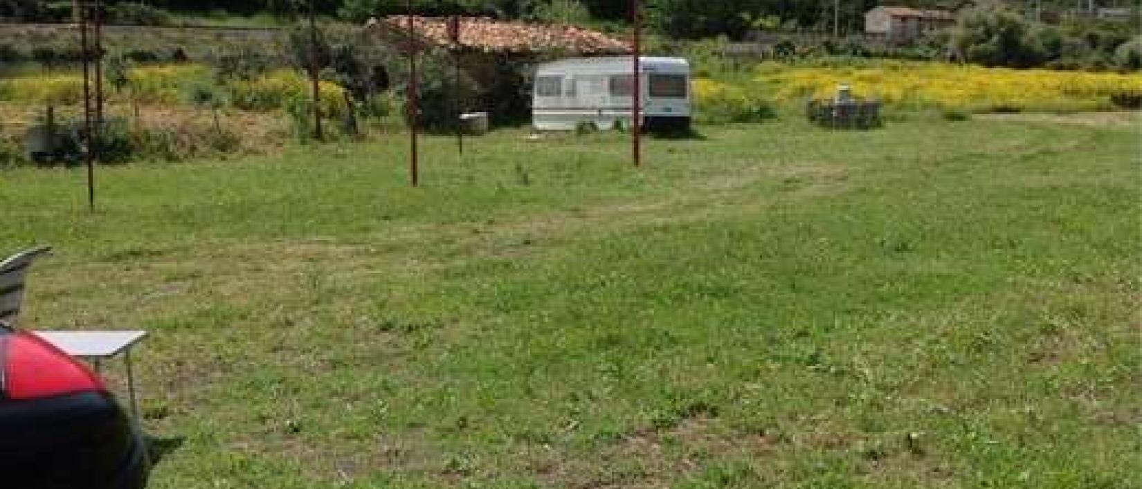 Hoofdfoto Oasi