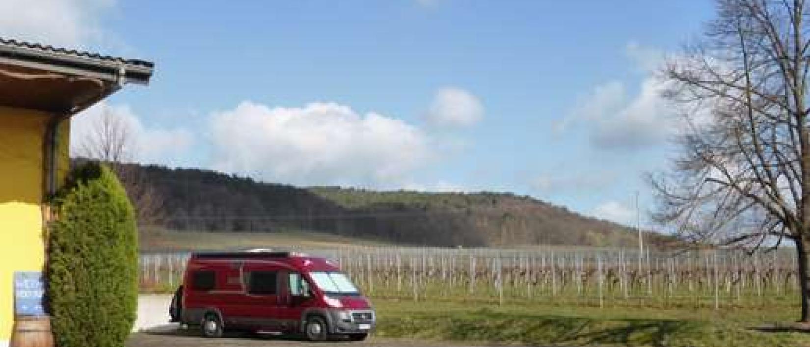 Hoofdfoto Weingut Cuntz Sonnenhof