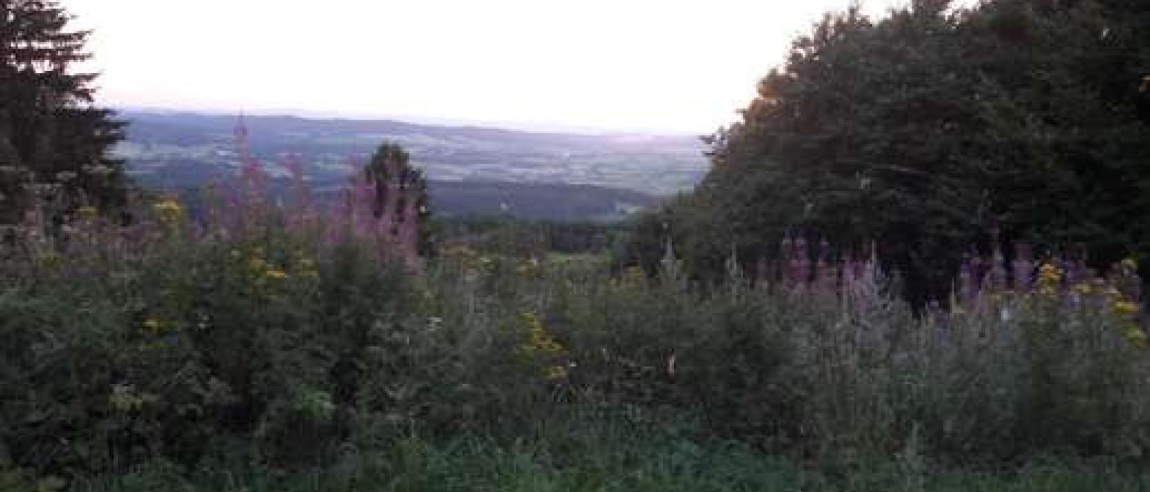 Hoofdfoto Bergasthof Hoher Meissner
