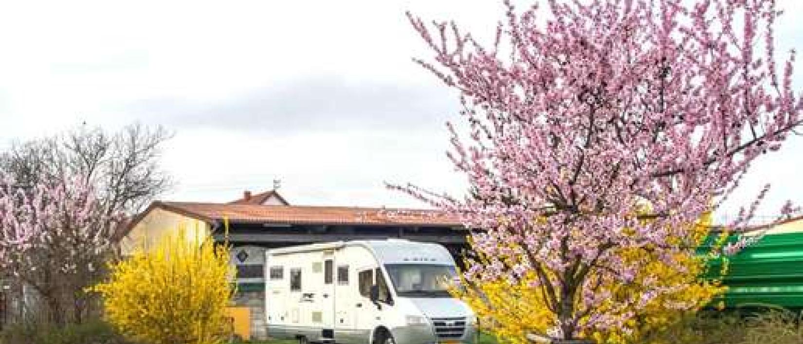 Hoofdfoto Winzerhaus im Linsenbusch